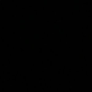 Meet your Posher, Luis